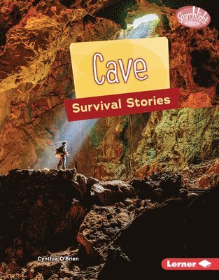 bokomslag Cave Survival Stories