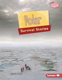 bokomslag Polar Survival Stories