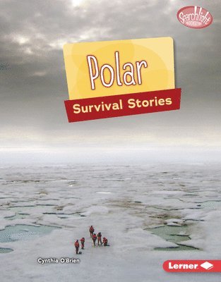 bokomslag Polar Survival Stories