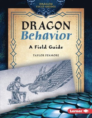 Dragon Behavior: A Field Guide 1