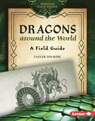 bokomslag Dragons Around the World