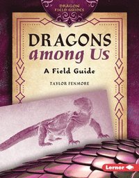 bokomslag Dragons Among Us: A Field Guide