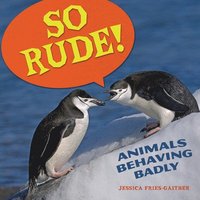 bokomslag So Rude!