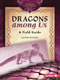 bokomslag Dragons Among Us