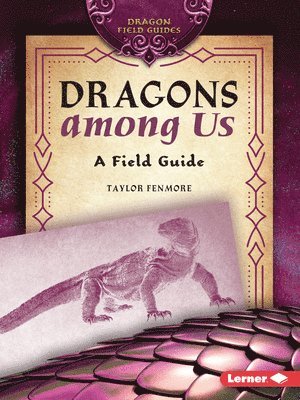 bokomslag Dragons Among Us