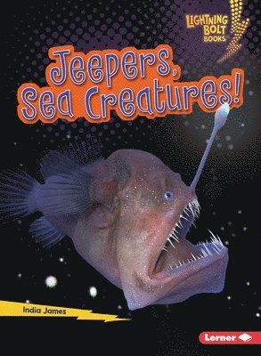 bokomslag Jeepers, Sea Creatures!