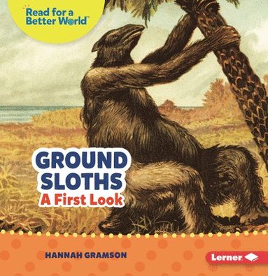 bokomslag Ground Sloths: A First Look