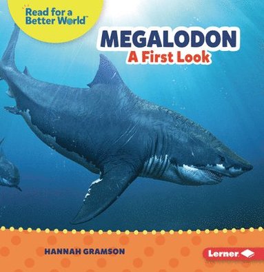 bokomslag Megalodon: A First Look