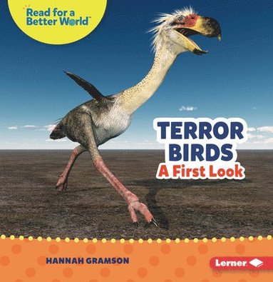 bokomslag Terror Birds: A First Look