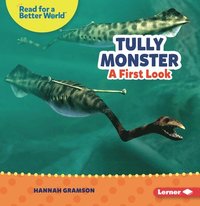 bokomslag Tully Monster