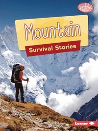 bokomslag Mountain Survival Stories