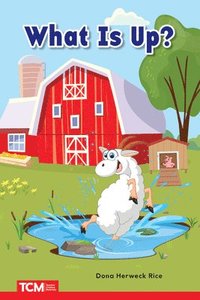 bokomslag What Is Up?: Prek/K: Book 18