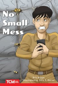 bokomslag No Small Mess: Level 1: Book 7