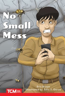 bokomslag No Small Mess: Level 1: Book 7