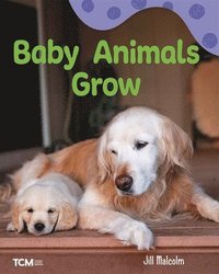 bokomslag Baby Animals Grow: A Wordless Nonfiction Book