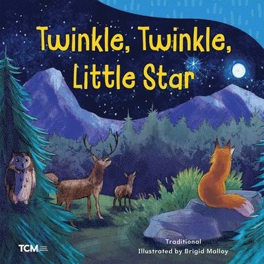 bokomslag Twinkle, Twinkle, Little Star