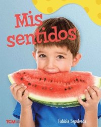 bokomslag MIS Sentidos: A Wordless Nonfiction Book