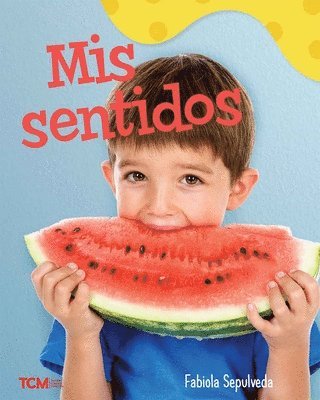 bokomslag MIS Sentidos: A Wordless Nonfiction Book