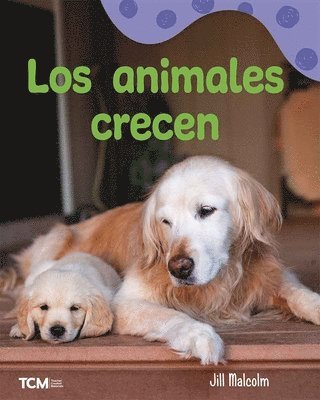 bokomslag Los Animales Crecen: A Wordless Nonfiction Book