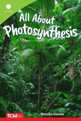 All about Photosynthesis 1