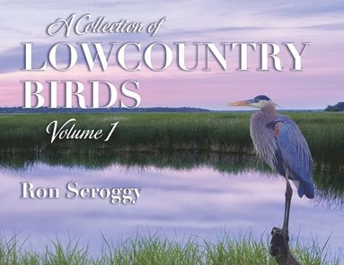 bokomslag Collection of Lowcountry Birds