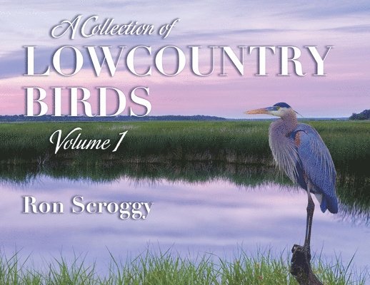 A Collection of Lowcountry Birds 1