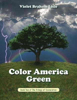 bokomslag Color America Green