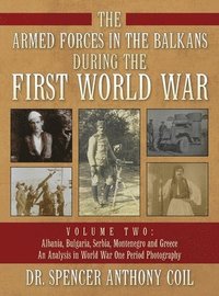 bokomslag The Armed Forces in the Balkans During the First World War Volume Two