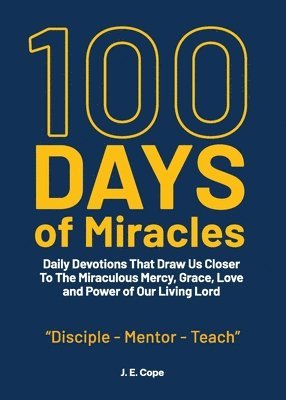 bokomslag 100 Days of Miracles