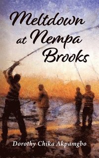 bokomslag Meltdown at Nempa Brooks