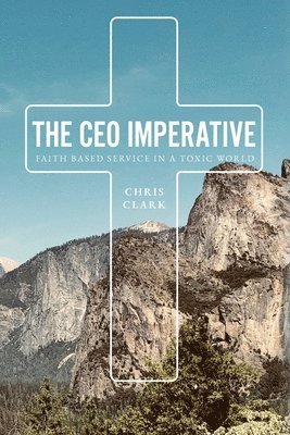 The CEO Imperative 1