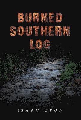 Burned Southern Log 1