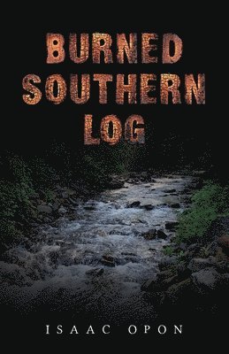 Burned Southern Log 1