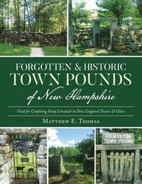 bokomslag Forgotten & Historic Town Pounds of New Hampshire