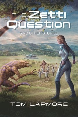 bokomslag Zetti Question