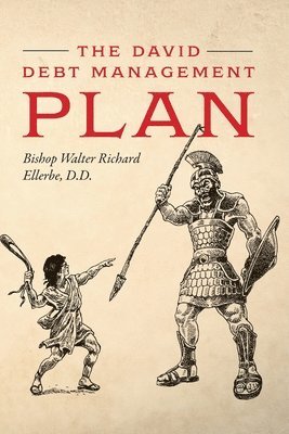 bokomslag The David Debt Management Plan