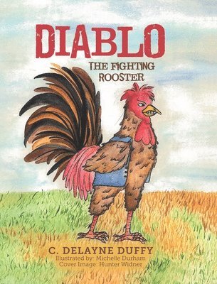bokomslag Diablo