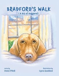 bokomslag Bradford's Walk