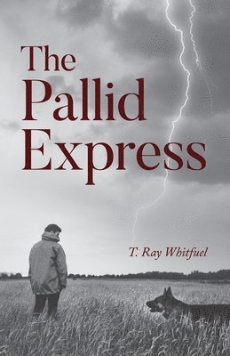 bokomslag Pallid Express