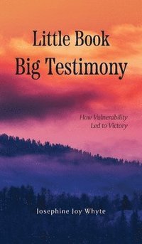 bokomslag Little Book, Big Testimony