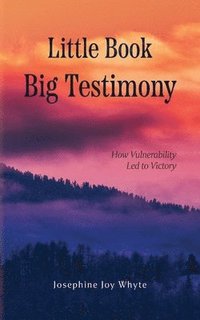 bokomslag Little Book, Big Testimony