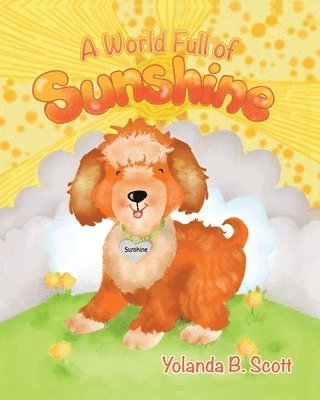 bokomslag World Full of Sunshine