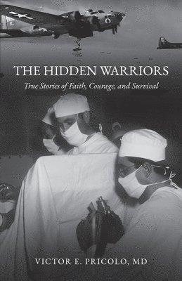 bokomslag Hidden Warriors