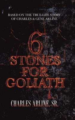 bokomslag 6 Stones for Goliath