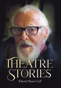bokomslag Theatre Stories