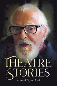 bokomslag Theatre Stories