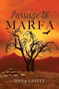 bokomslag Passage To Marfa