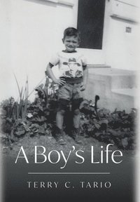 bokomslag A Boy's Life
