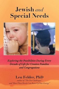 bokomslag Jewish and Special Needs