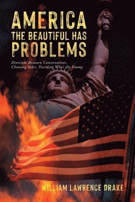 America The Beautiful Has Problems